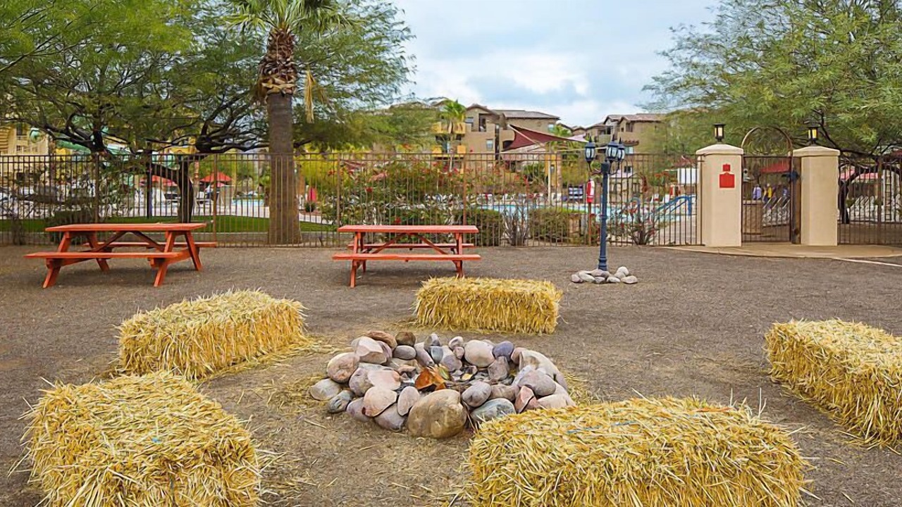 Photo of Others in Cibola Vista