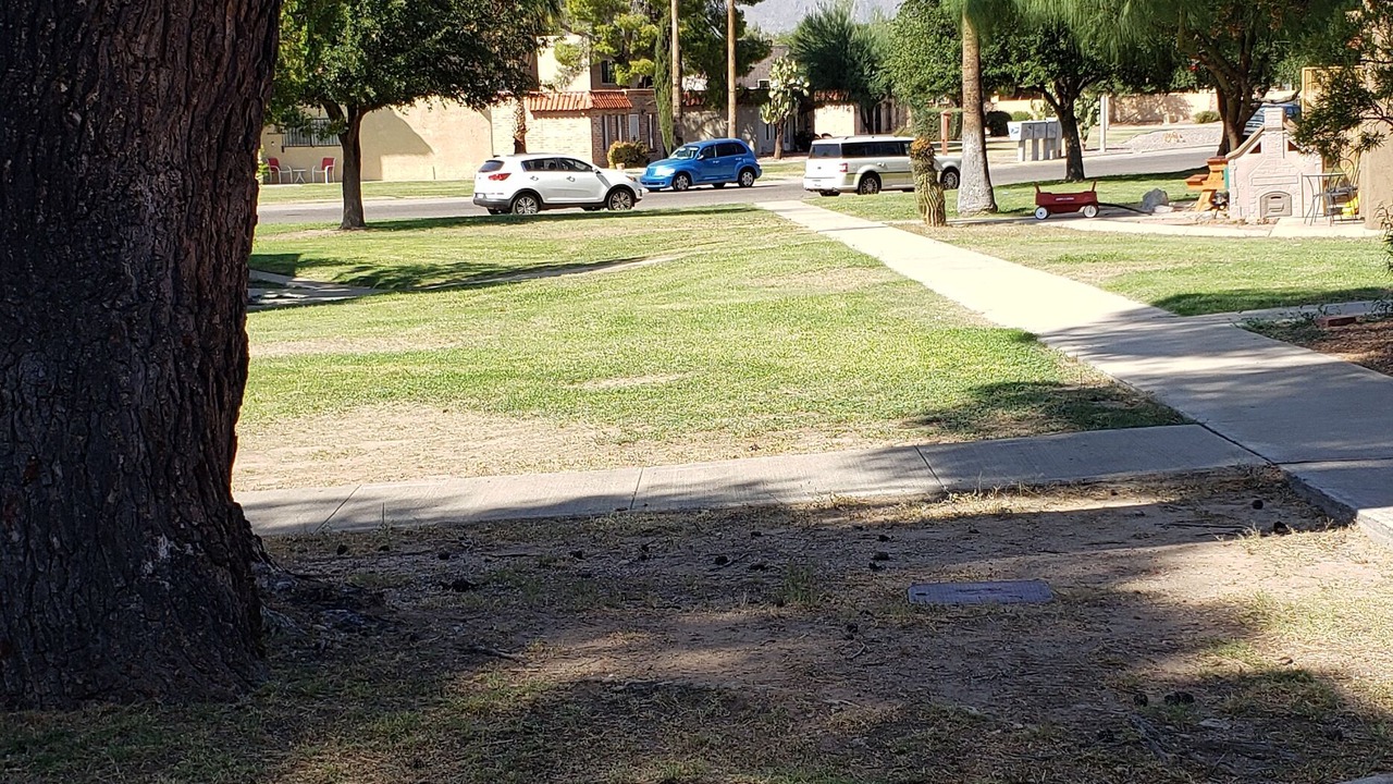 Photo of Outdoor in Tucson
