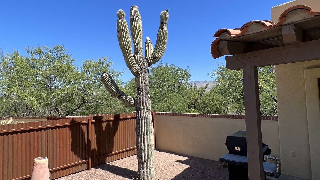 Photo of Patio Balcony in Tanque Verde