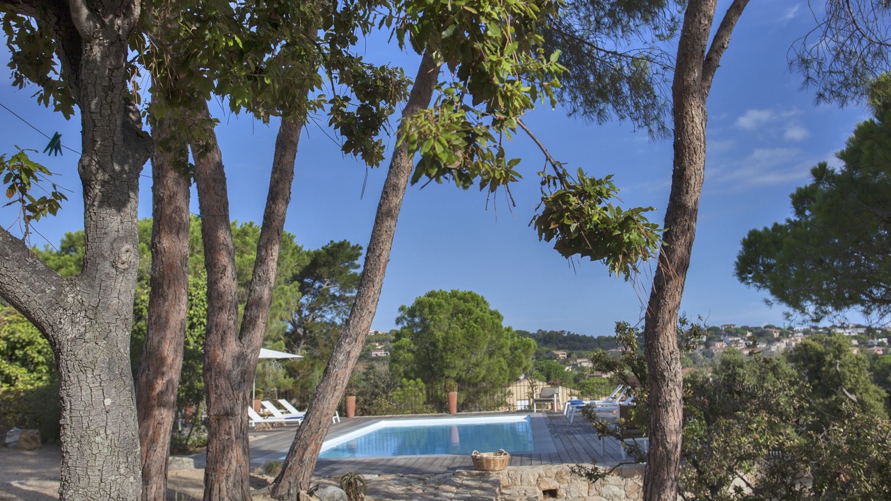 Photo of Outdoor in Calvi