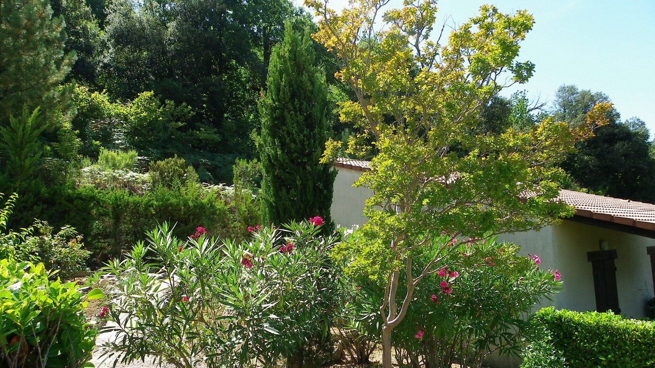Photo of Outdoor in Vico