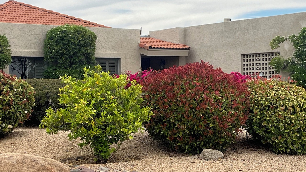 Photo of Outdoor in Rio Verde