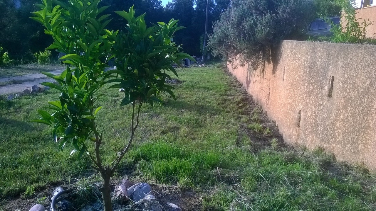 Photo of Outdoor in Sainte-Lucie-de-Tallano