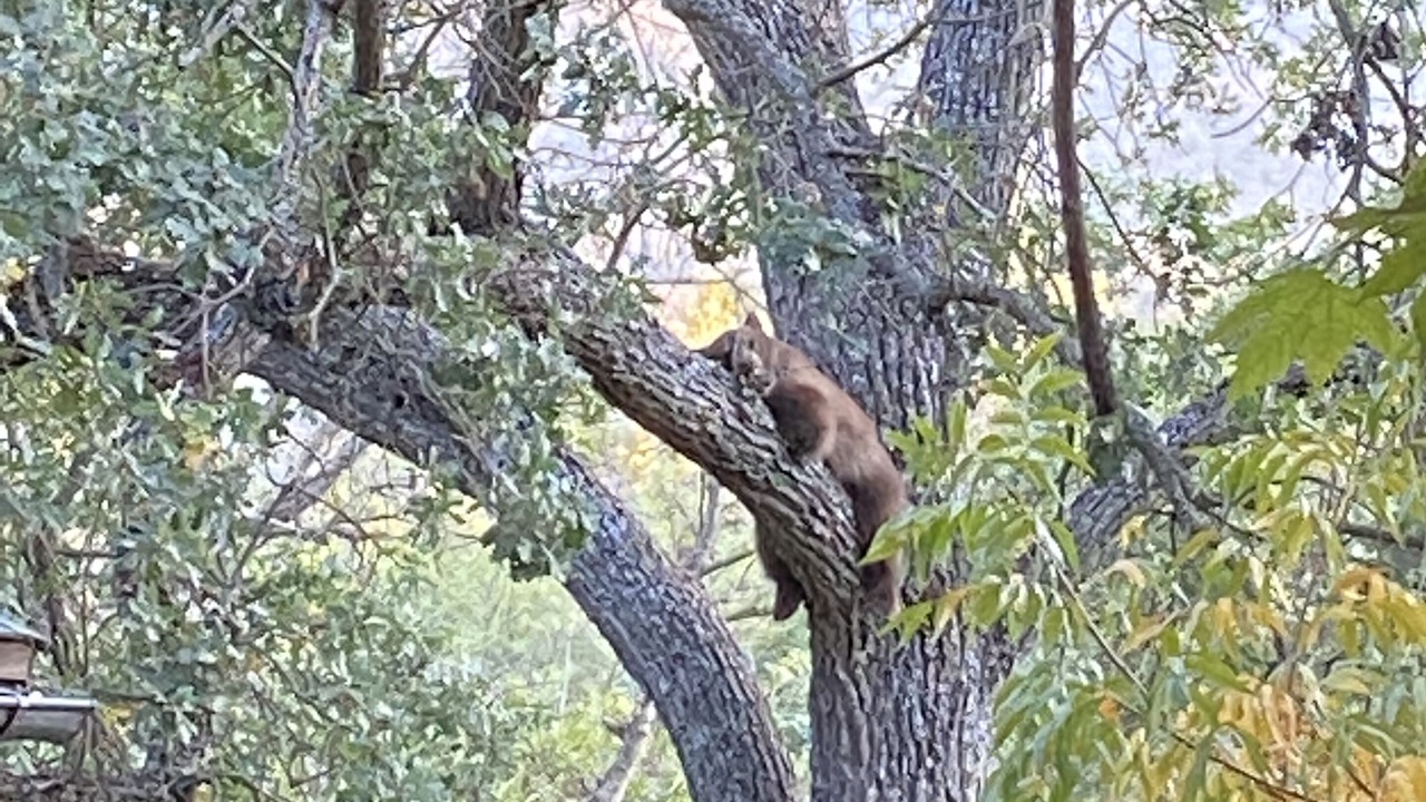 Photo of Others in Three Rivers