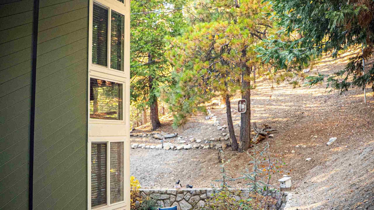 Photo of Outdoor in Blue Jay