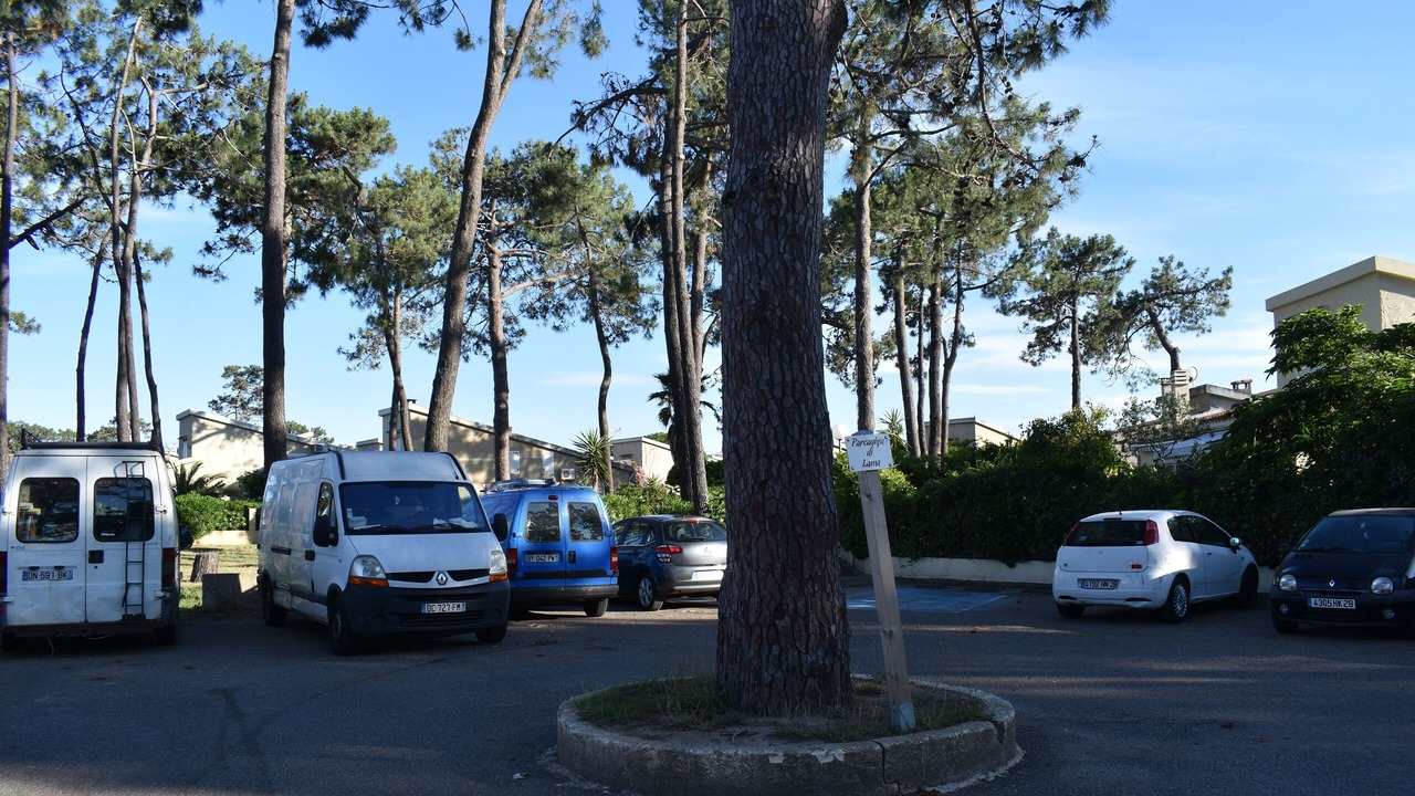 Photo of Outdoor in Pineto