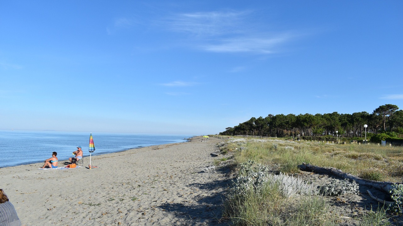 Photo of Others in Pineto