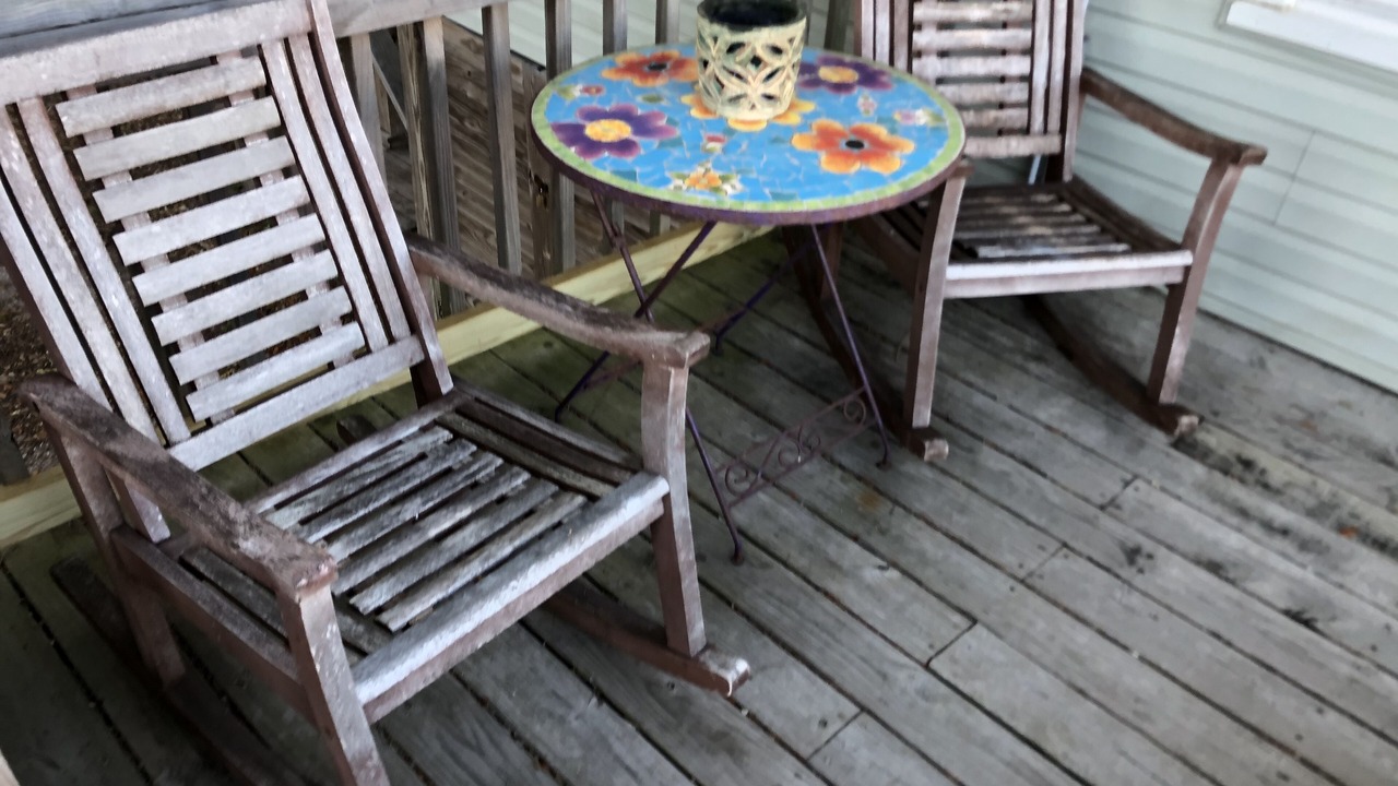 Photo of Outdoor in Edisto Island