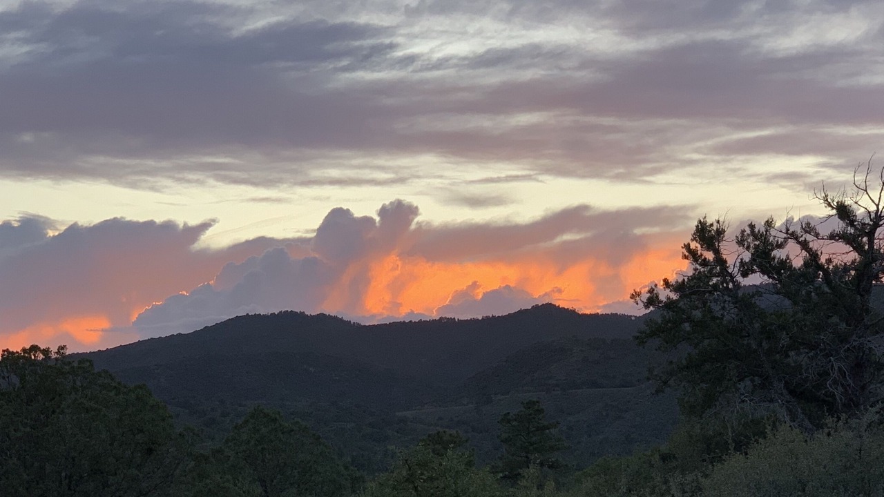 Photo of Others in Ponderosa Park