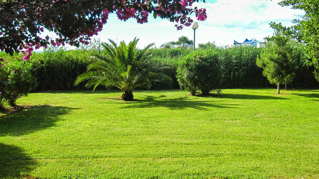 Photo of Outdoor in Ghisonaccia