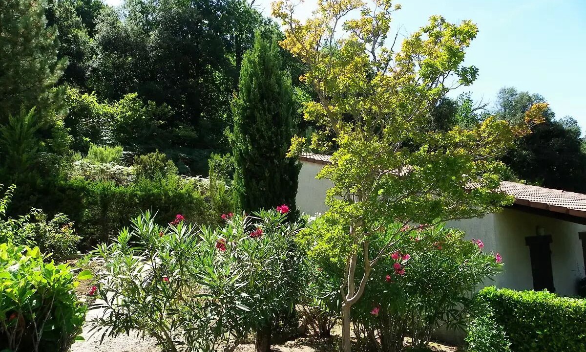 Photo of Outdoor in Vico