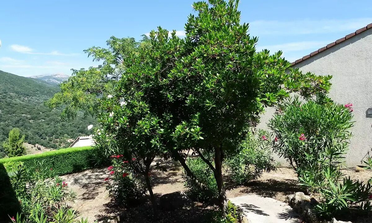 Photo of Outdoor in Vico