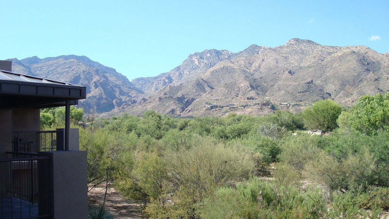 Photo of Others in Tucson