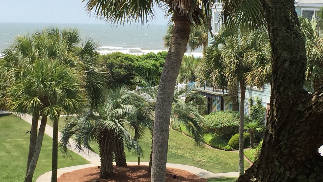 Photo of Outdoor in Isle of Palms