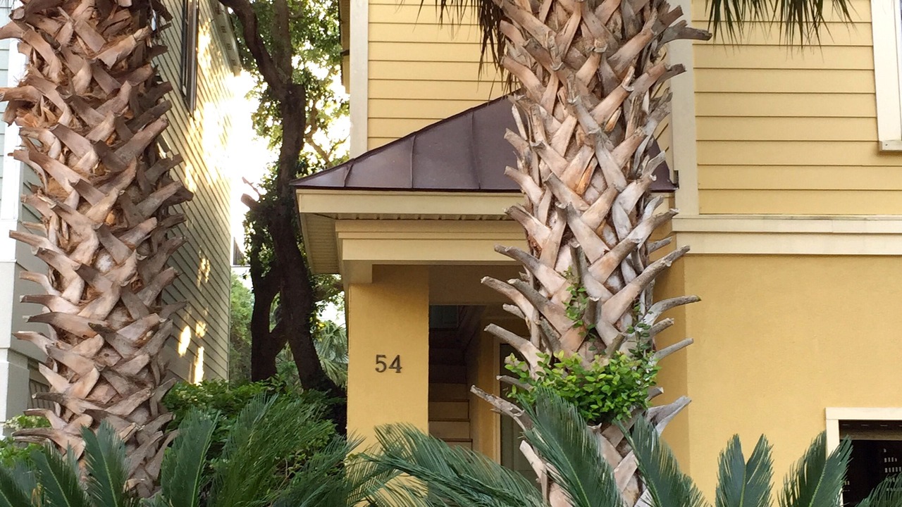 Photo of Others in Isle of Palms