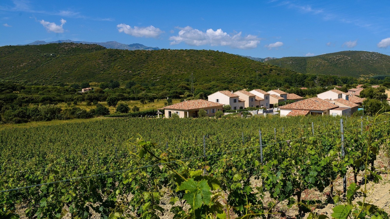 Photo of Outdoor in Oletta