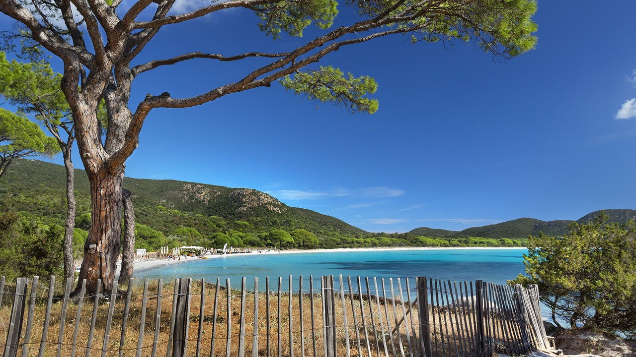 Photo of Others in Figari