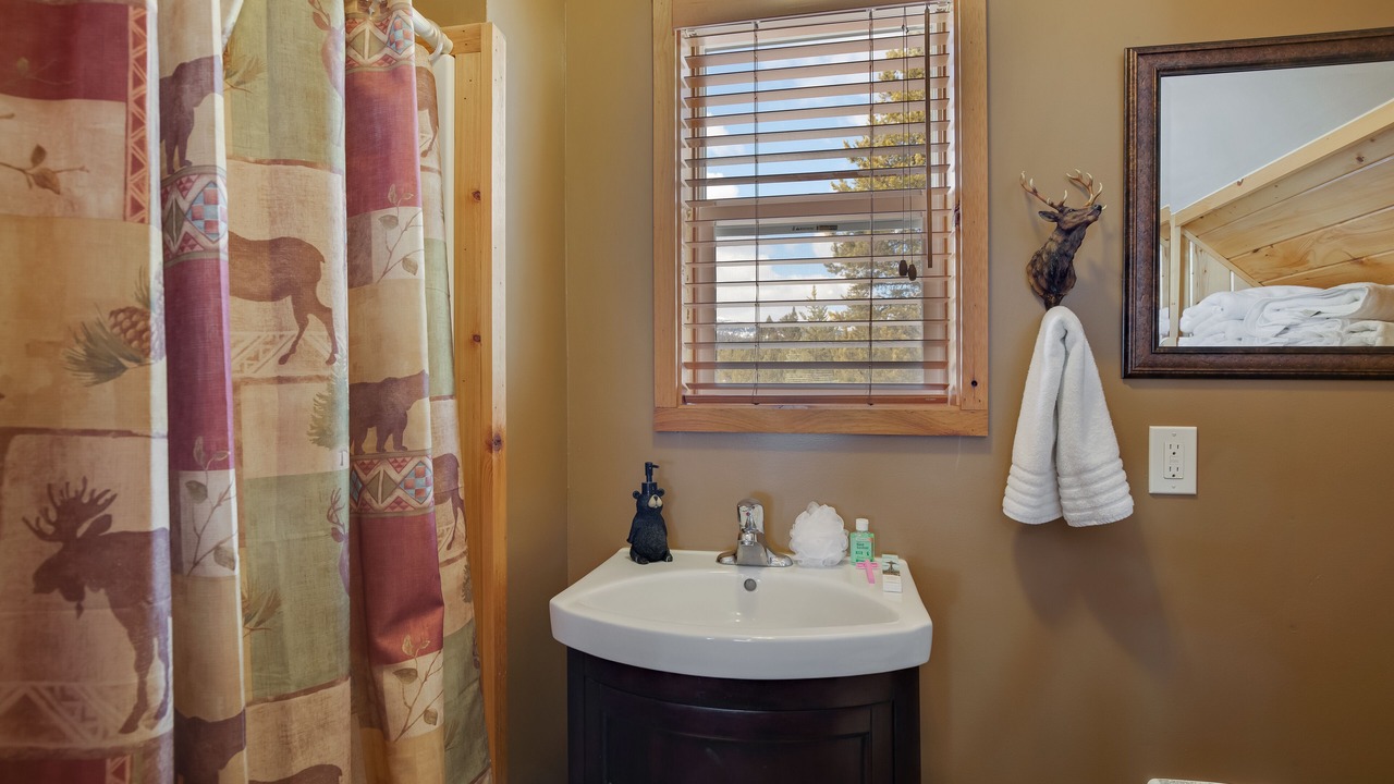Photo of Bathroom in Island Park