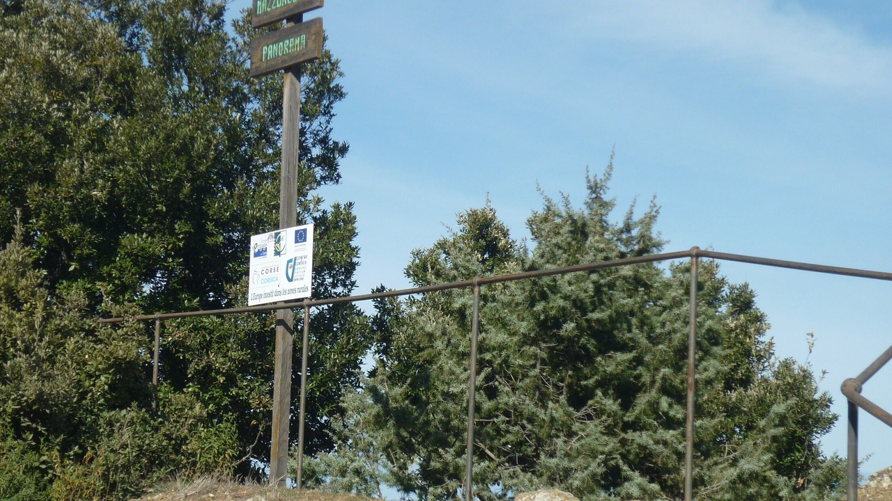 Photo of Others in San-Lorenzo