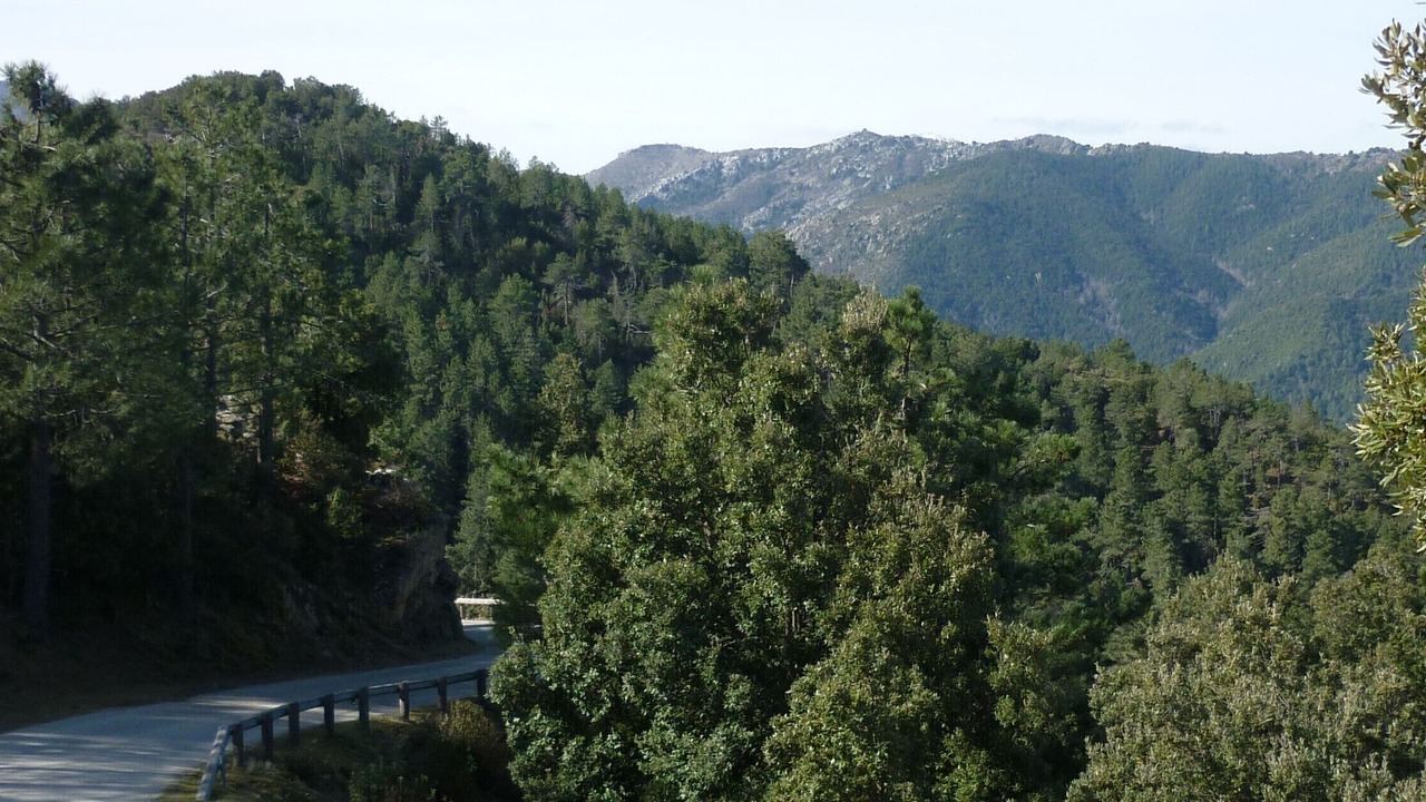 Photo of Others in San-Lorenzo