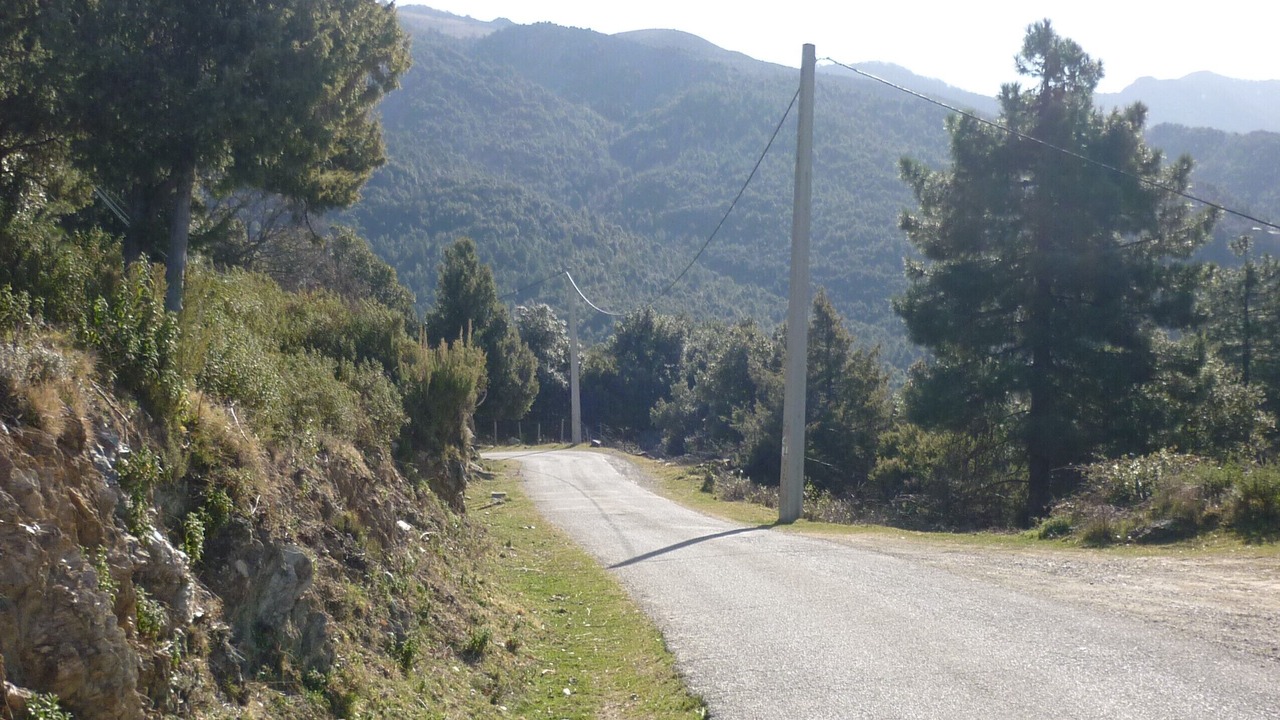 Photo of Others in San-Lorenzo