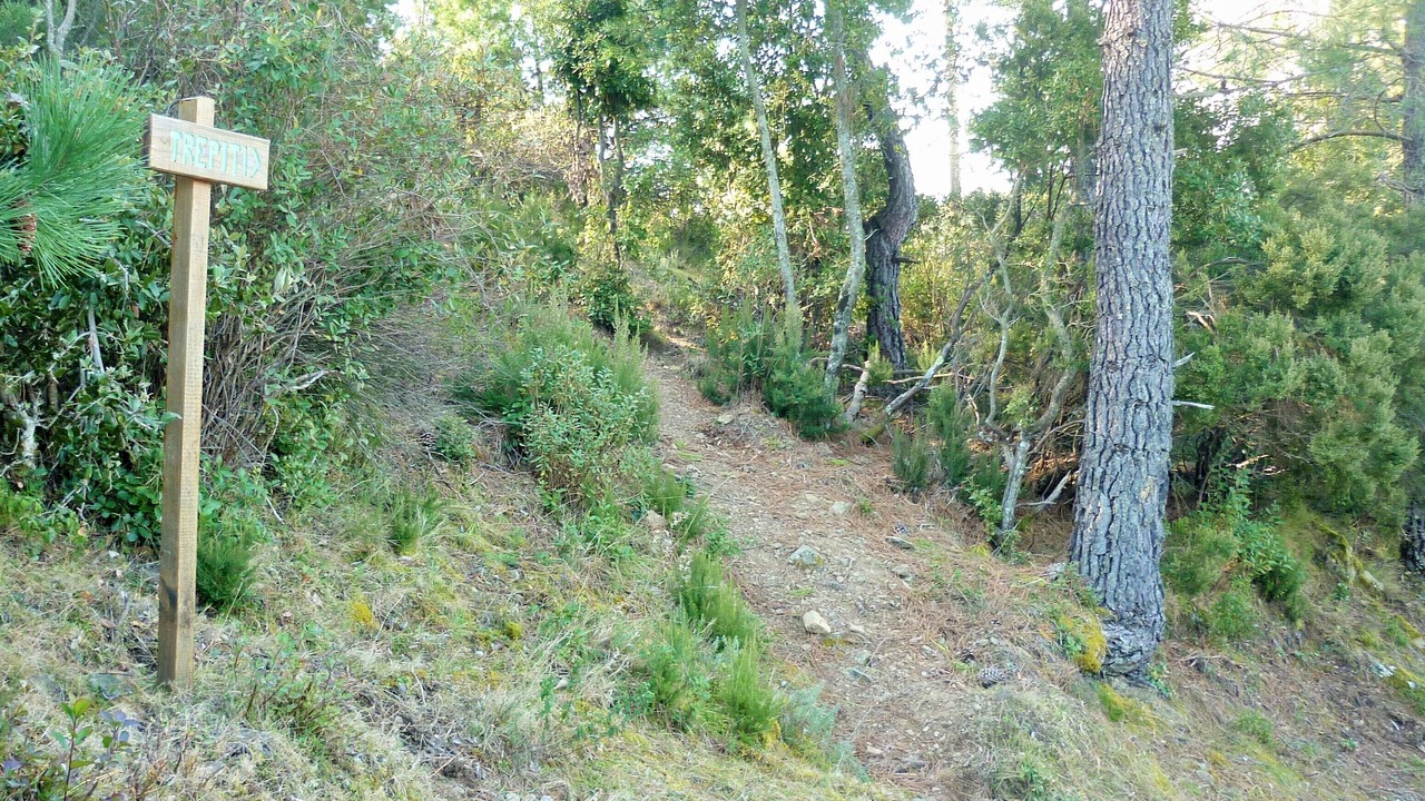 Photo of Outdoor in San-Lorenzo