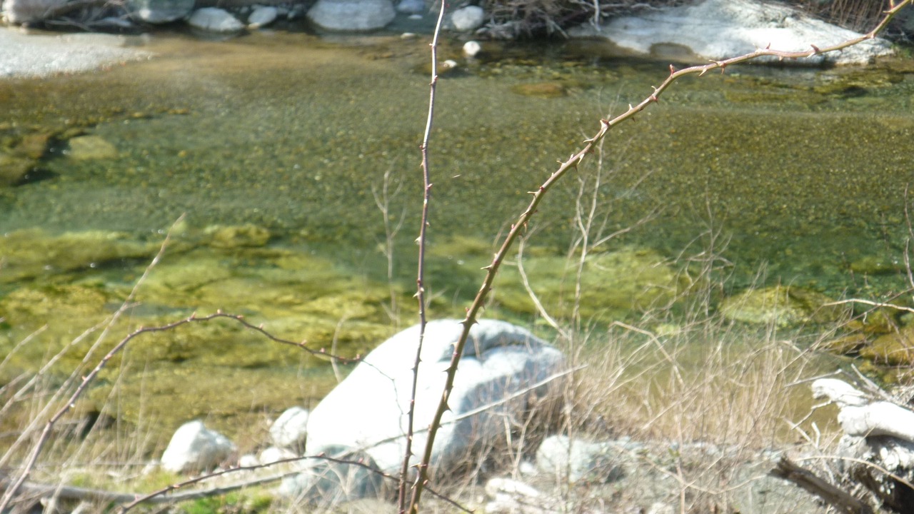 Photo of Outdoor in San-Lorenzo