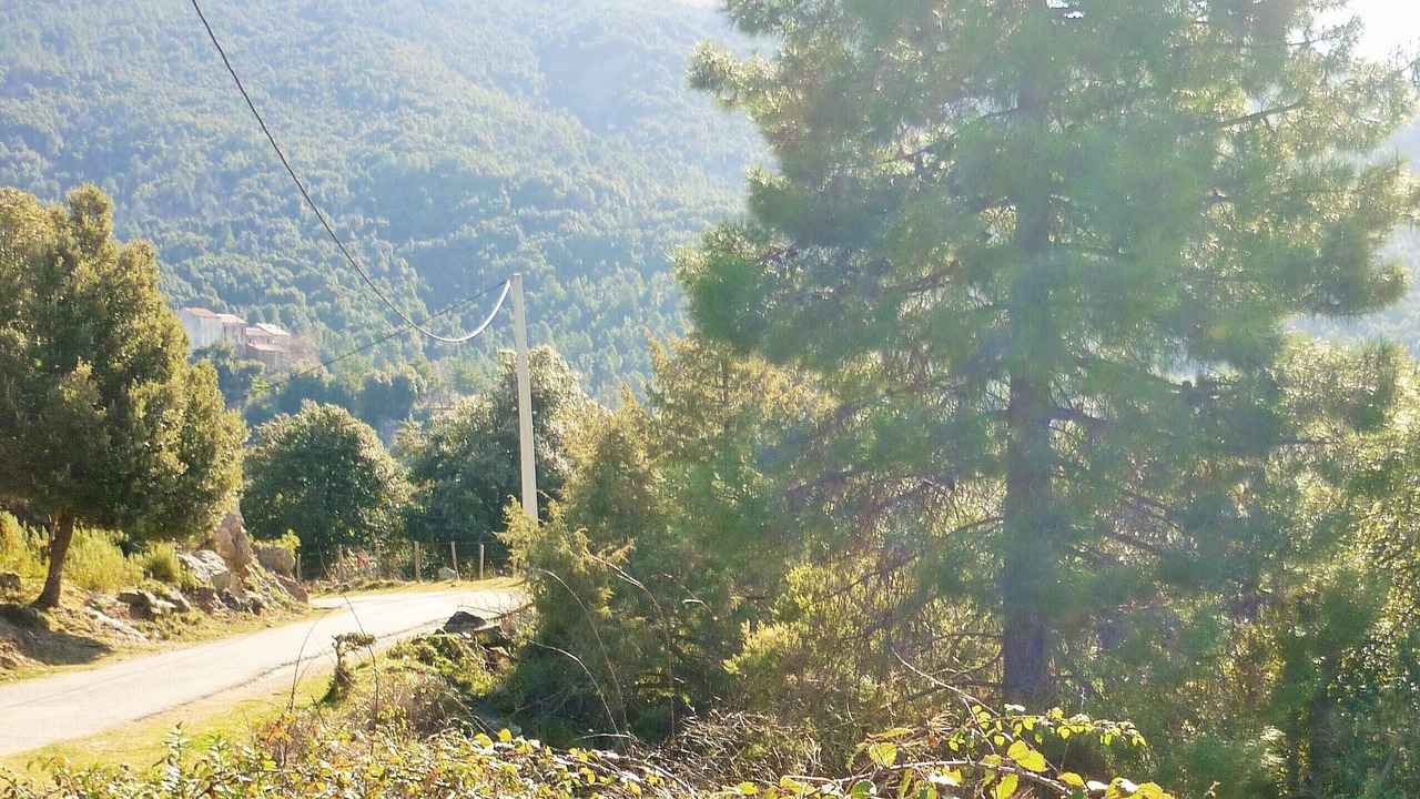 Photo of Outdoor in San-Lorenzo