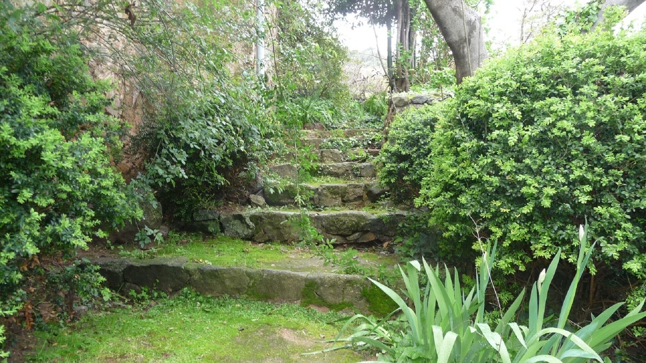 Photo of Outdoor in Santa-Reparata-di-Balagna