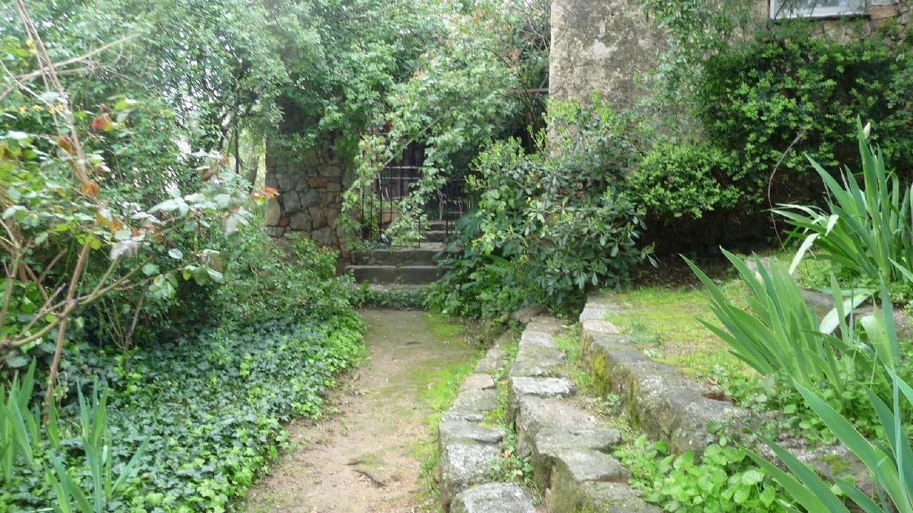 Photo of Outdoor in Santa-Reparata-di-Balagna