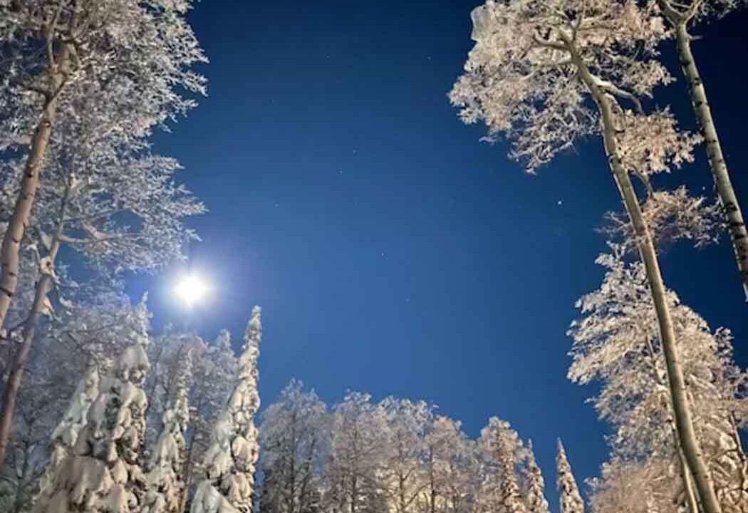 Photo of Others in Beaver