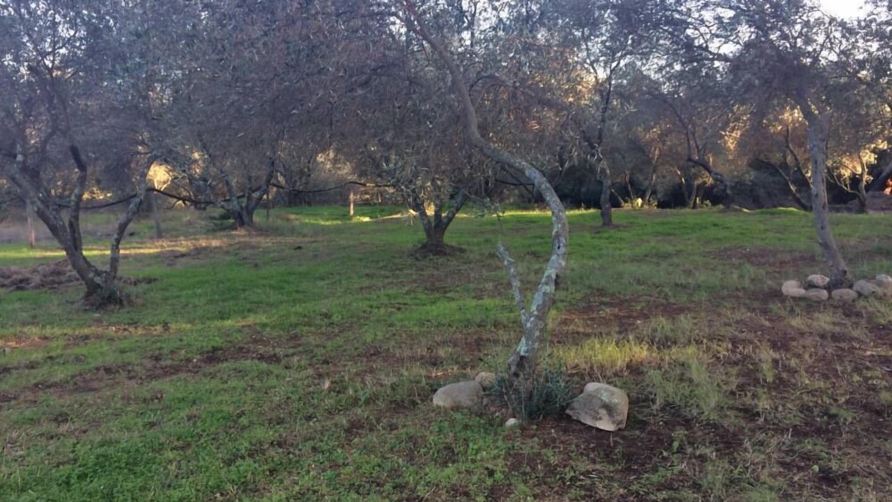 Photo of Outdoor in Porto-Vecchio