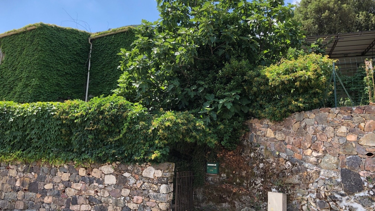 Photo of Outdoor in Manso