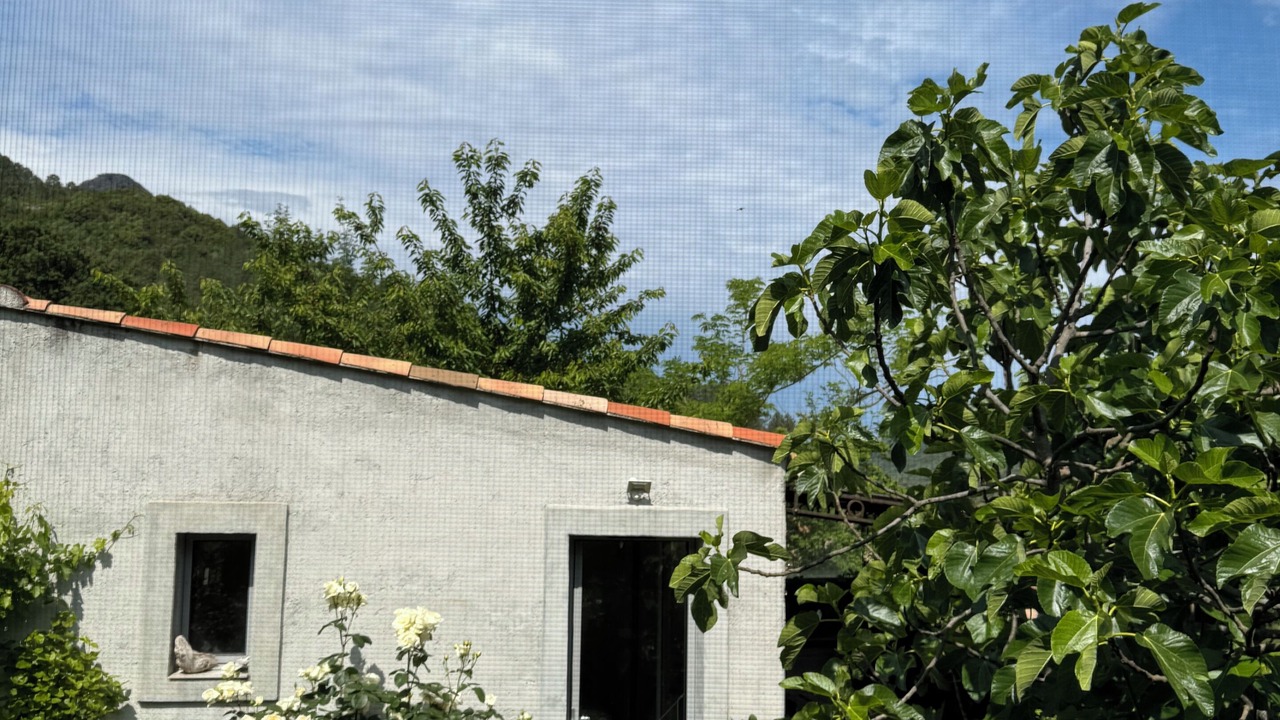 Photo of Outdoor in Manso