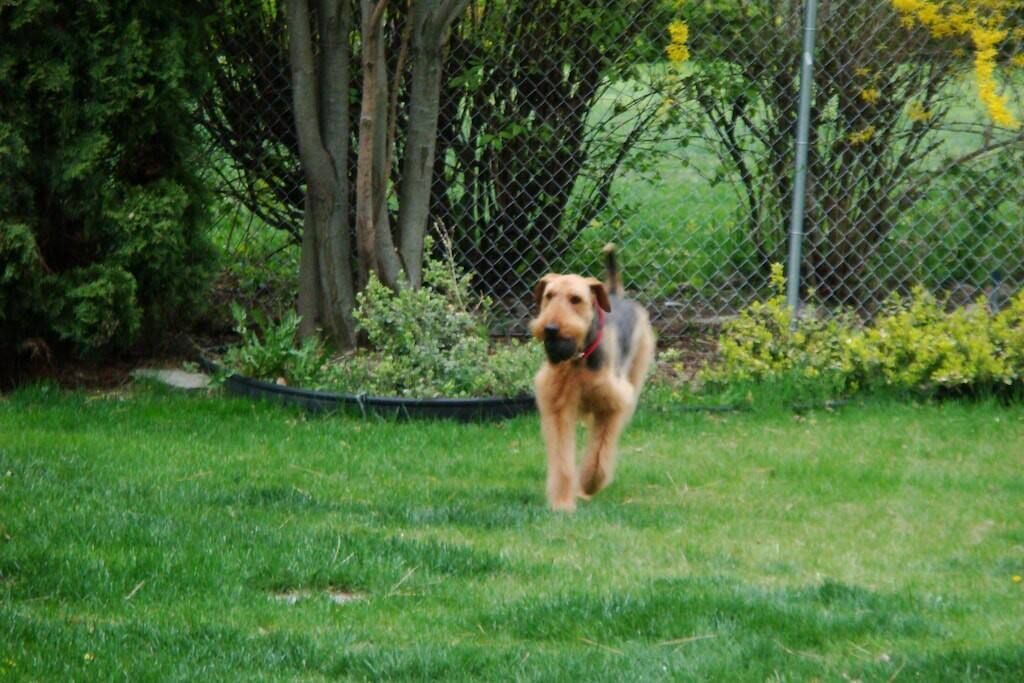 Photo of Outdoor in Spokane Valley