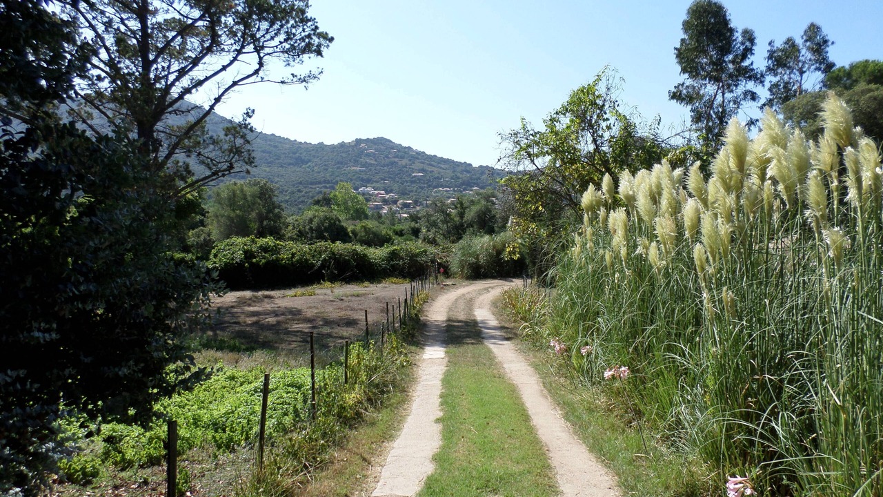 Photo of Outdoor in Cargese