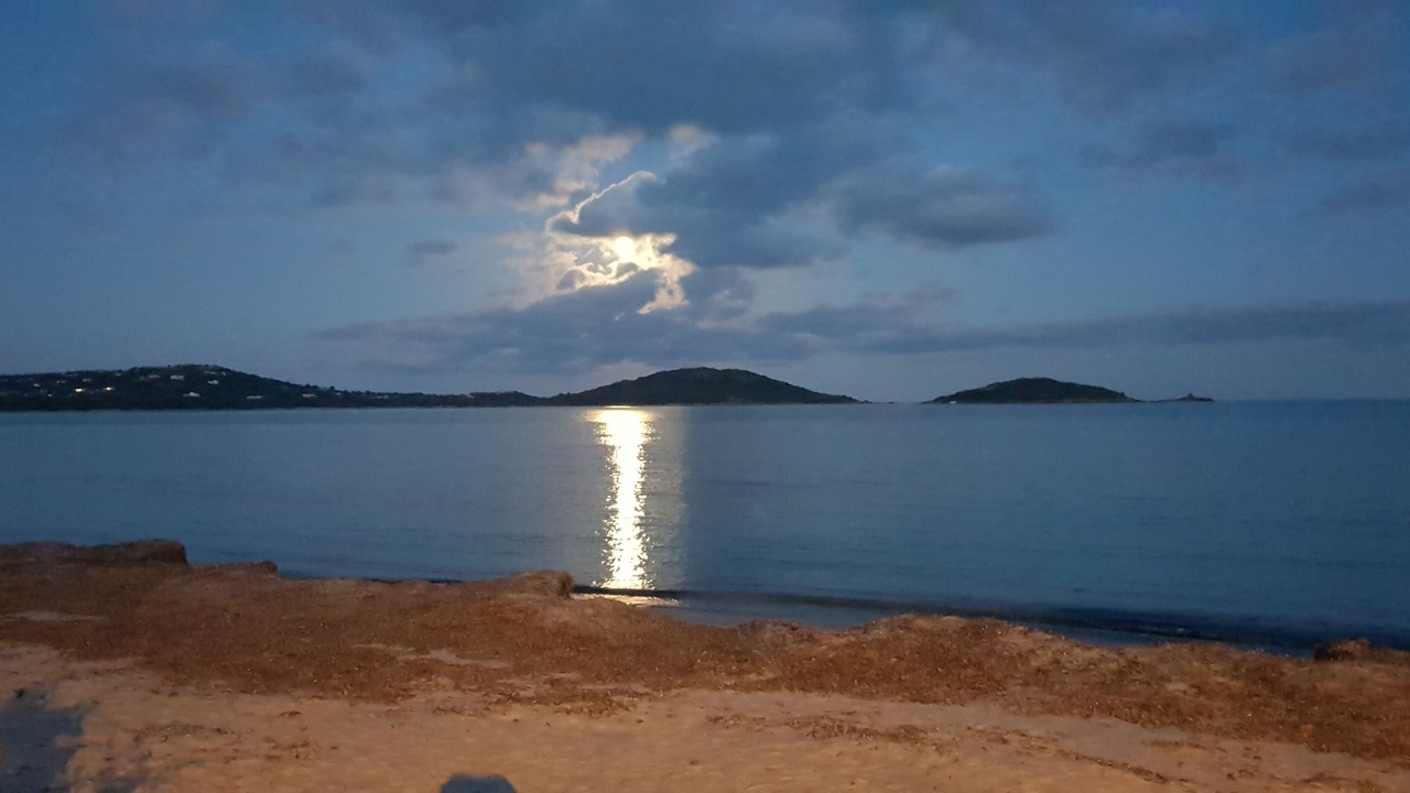 Photo of Others in Porto-Vecchio