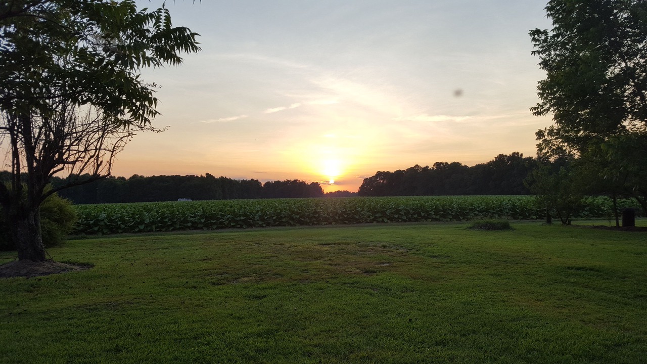 Photo of Outdoor in Lillington