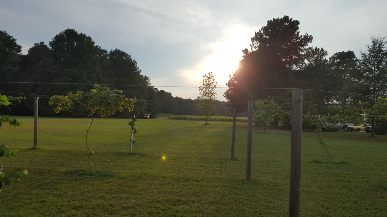 Photo of Outdoor in Lillington