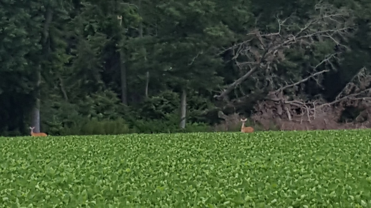 Photo of Outdoor in Lillington