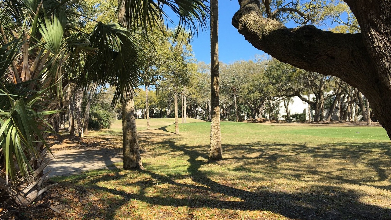 Photo of Others in Seabrook Island