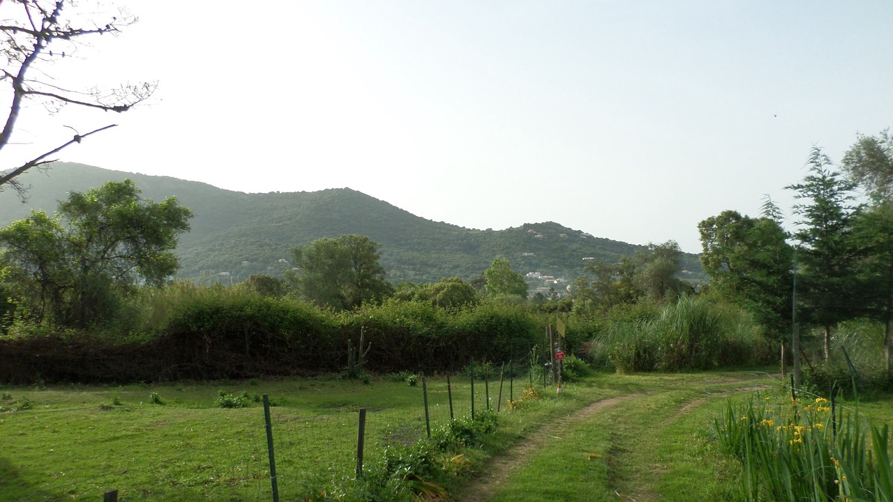 Photo of Outdoor in Cargese