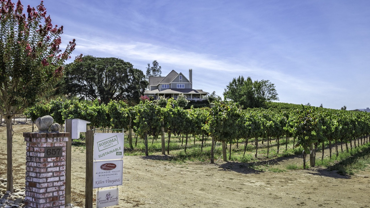 Photo of Outdoor in Healdsburg