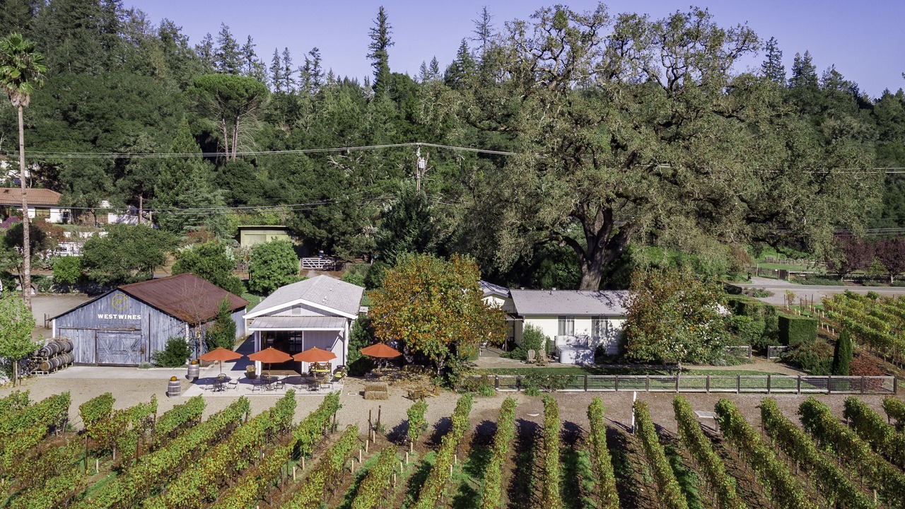 Photo of Outdoor in Healdsburg
