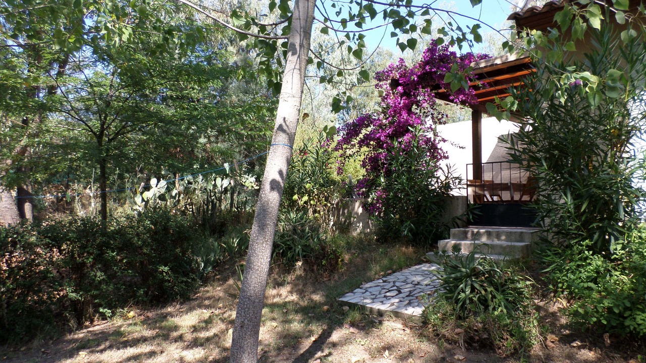 Photo of Outdoor in Cargese