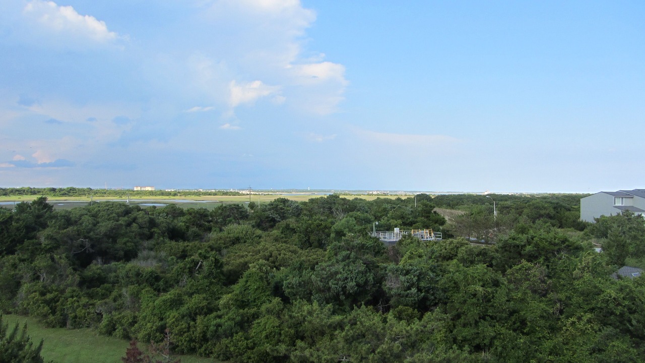 Photo of Others in Morehead City