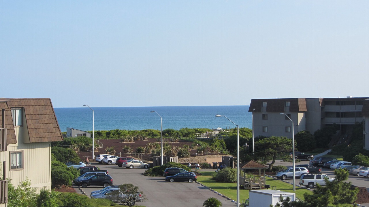 Photo of Others in Morehead City