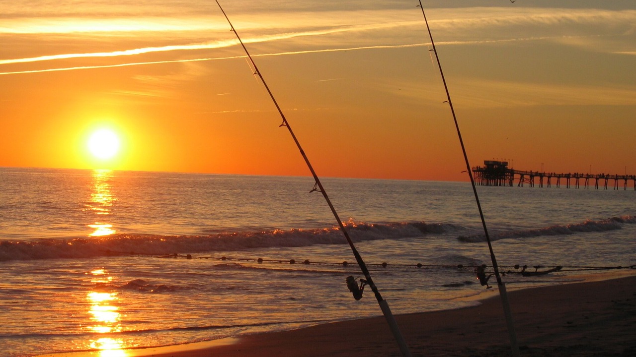 Photo of Others in Morehead City