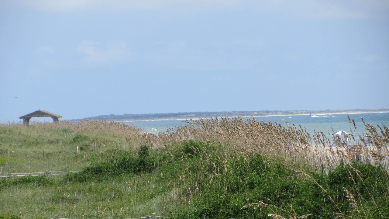Photo of Others in Morehead City