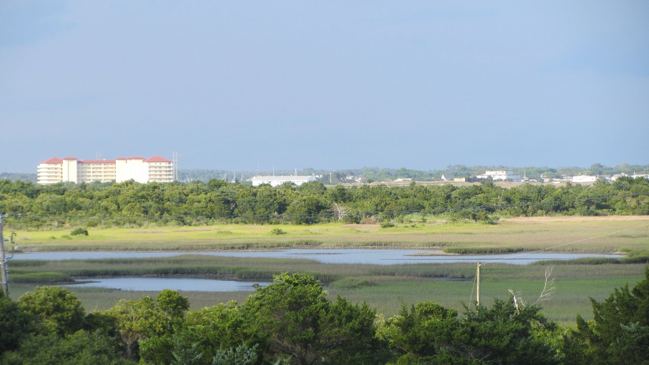 Photo of Others in Morehead City